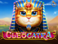 Casino licence. Super cat casino bonus codes.5